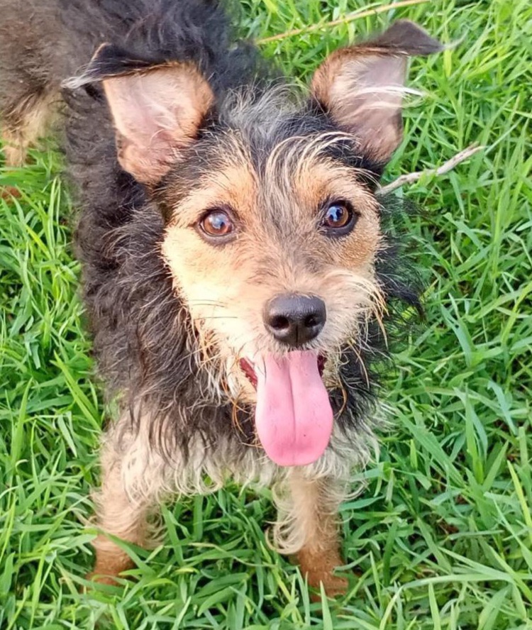 Mimi