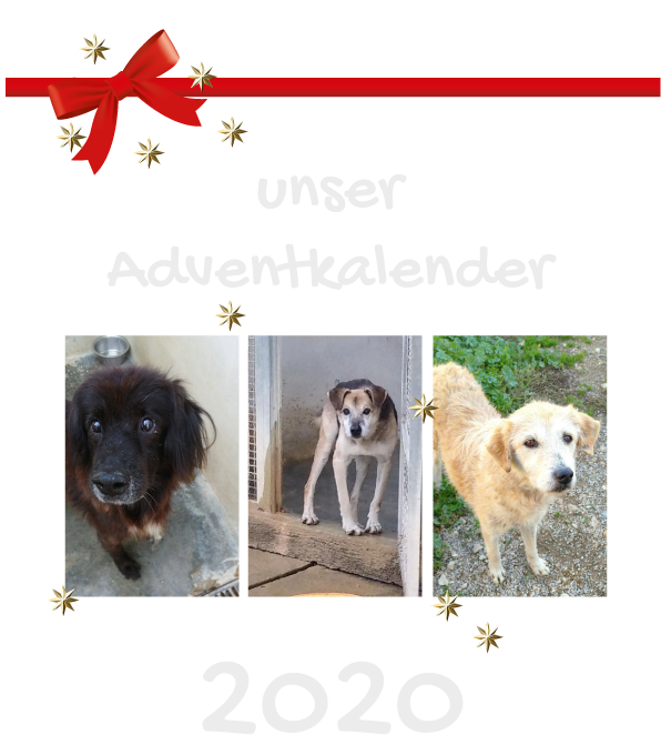 Adventkalender