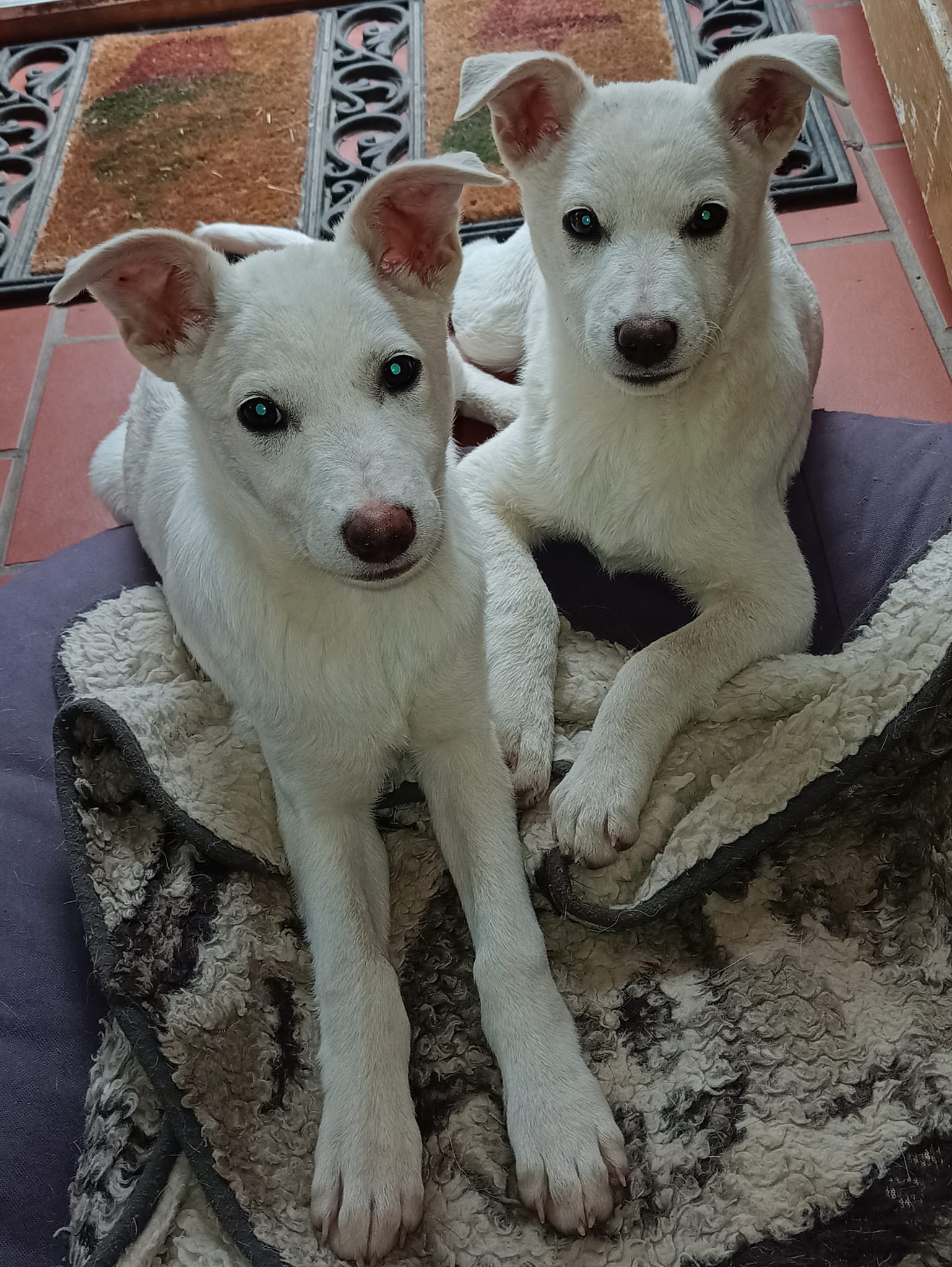 Heidi & Clara