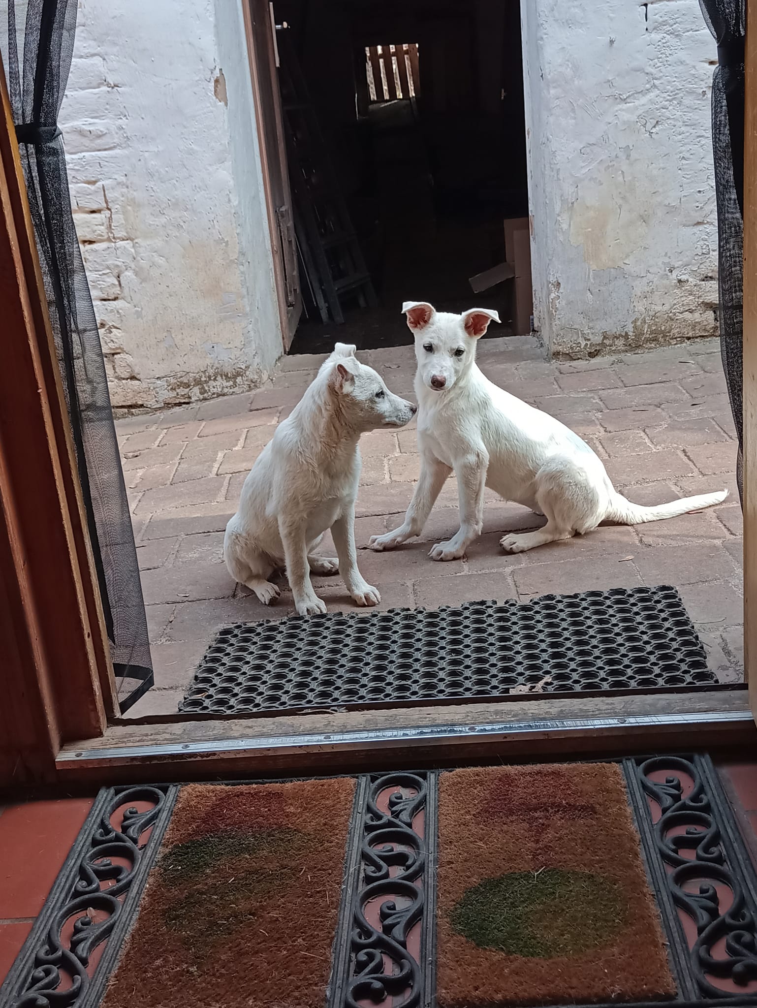 Heidi & Clara