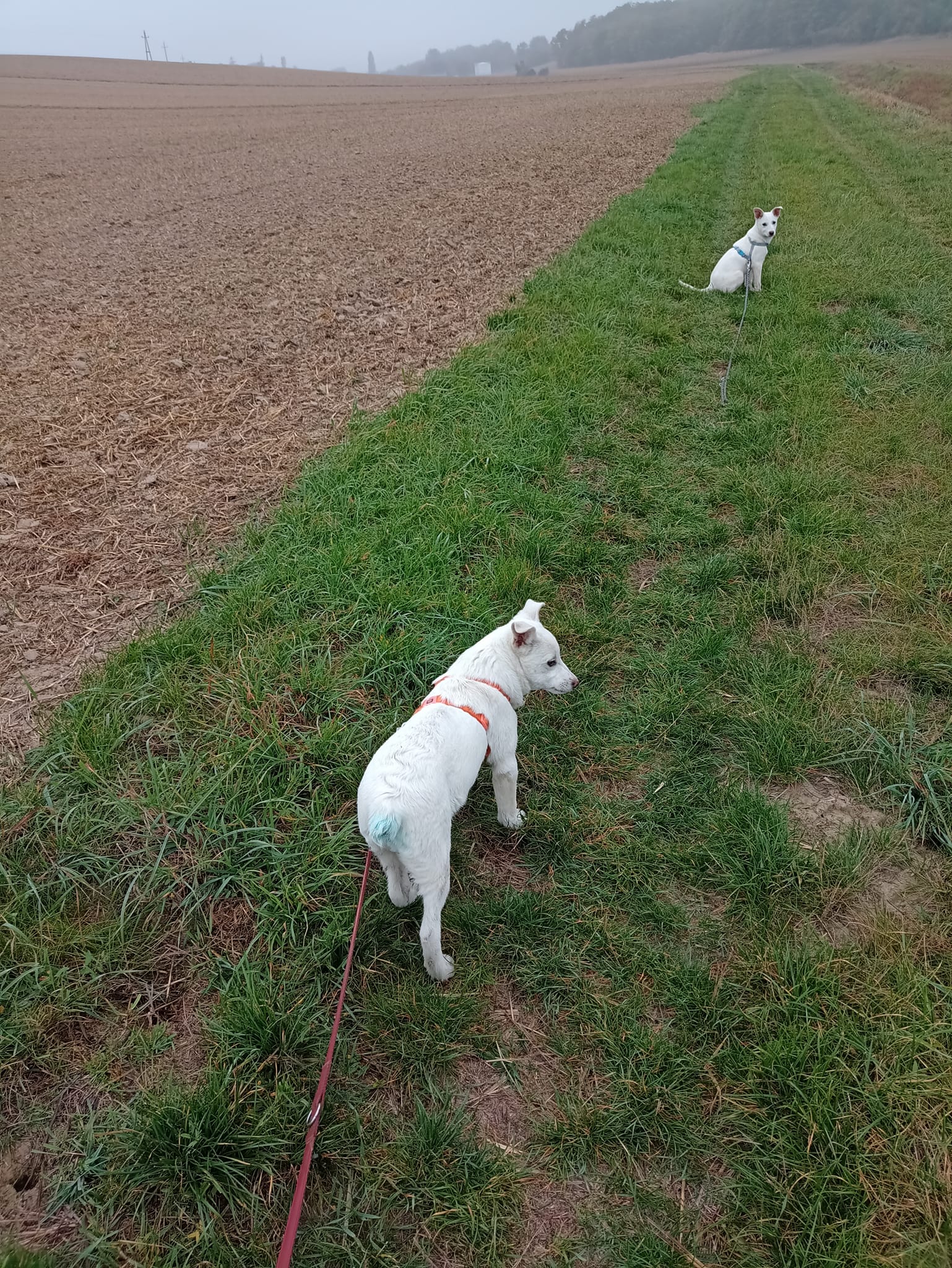 Heidi & Clara