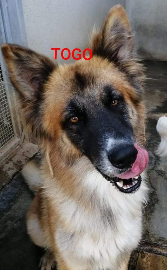 Togo